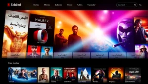 مشهد عرضي لأفلام مترجمة محاناً مع لقطات متنوعة من أحدث الأفلام والدراما والحنين الكلاسيكي بطريقة جذابة وسهلة المشاهدة.